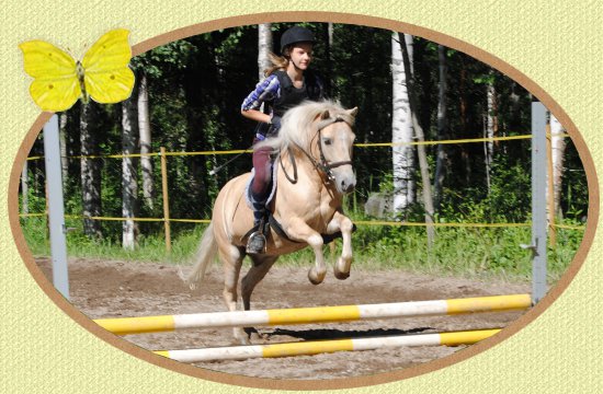 Mikkolan Ratsastuskoulu j�rjest�� ratsastustunteja ja ratsastusleirej� Vilppulassa.